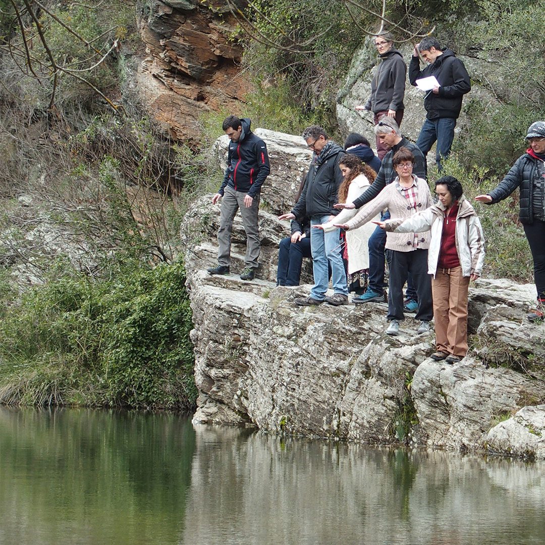  Nivel I: Geobiología consciente