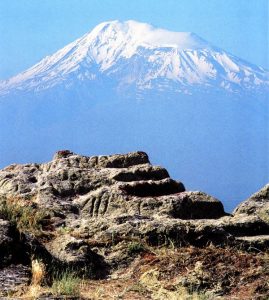 Metsamor4