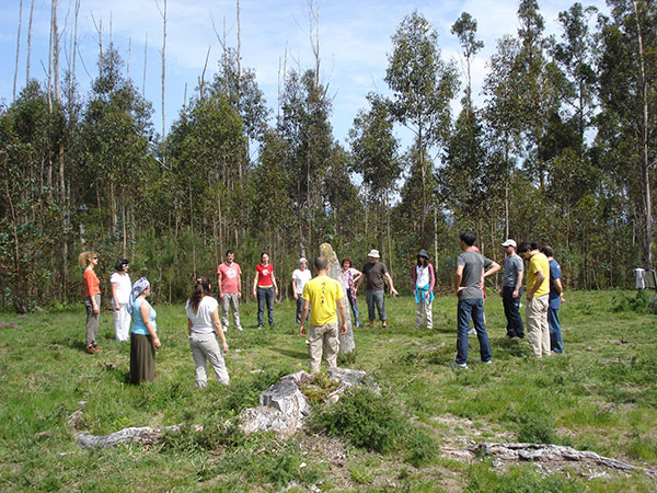 ¿Redes geobiológicas?