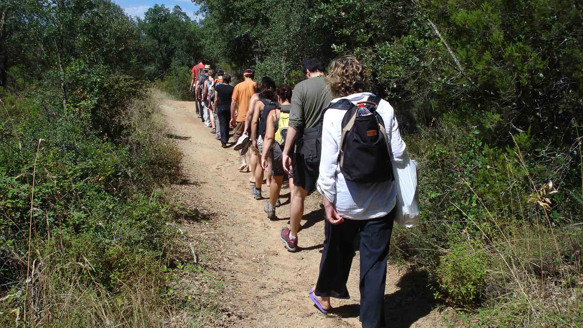 BUSCANDO EL CAMINO